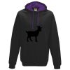 LDD Varsity Hoodie Thumbnail