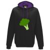 LDD Varsity Hoodie Thumbnail