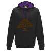 LDD Varsity Hoodie Thumbnail