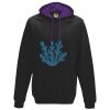 LDD Varsity Hoodie Thumbnail