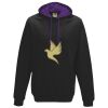 LDD Varsity Hoodie Thumbnail